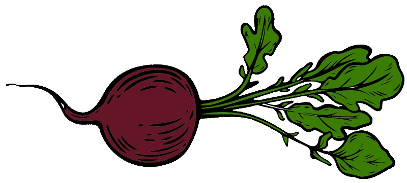 Beet-Transparent