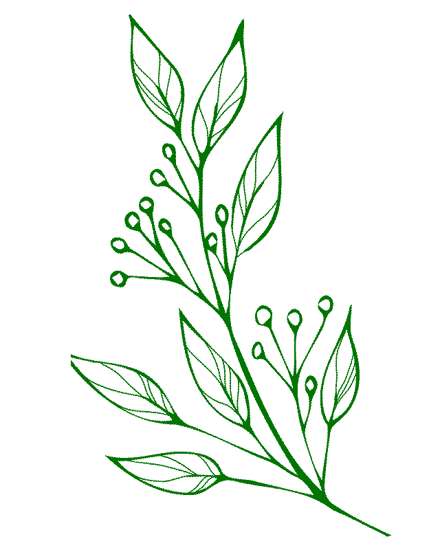 Book-Page-Plants-B