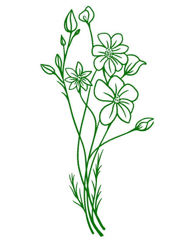 Book-Page-Plants-C