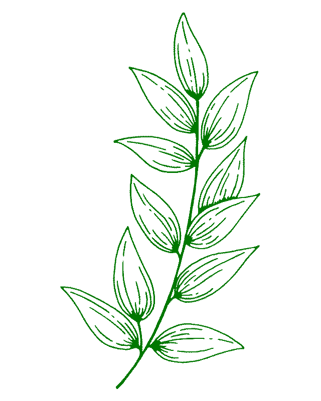 Book-Page-Plants-D