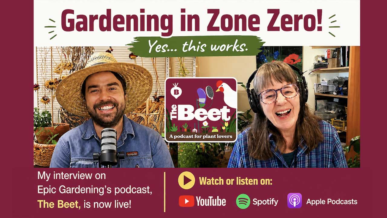 The-Beet-Podcast